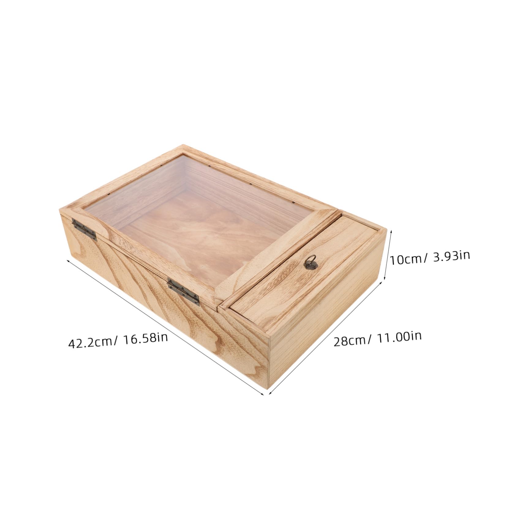 TOPBATHY Caja de Muestras de Insectos de Madera Maciza, Marco Vertical