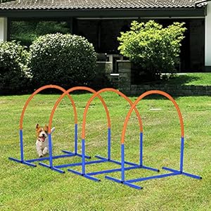 Pawhut Dog Agility Training Equipment 4 Piece Dog Agility Course for Old Dogs with Carrying Bag Outdoor Use Blue  Cucciolini Doodles Pawhut dog agility training equipment 4 piece dog agility course for old dogs with carrying bag outdoor use blue   cucciolini doodles