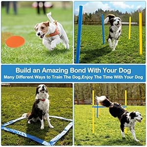 RAIN QUEEN Dog Agility Course Backyard Set - Agility Training Equipment for Dogs Starter Kit-Pet Outdoor Games with Tunnel, Weave Poles, Adjustable Hurdle, Jump Ring, Pause Box, Toys and Carrying Bag RAIN QUEEN Dog Agility Course Backyard Set Agility Training Equipment for Dogs Starter Kit Pet Outdoor Games with Tunnel Weave Poles Adjustable Hurdle Jump Ring Pause Box Toys and Carrying Bag