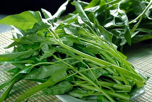 Miniatura 9 de Kong Xin - Semillas CAI de 0.5 onzas, más de 350 semillas de vegetales para plantar