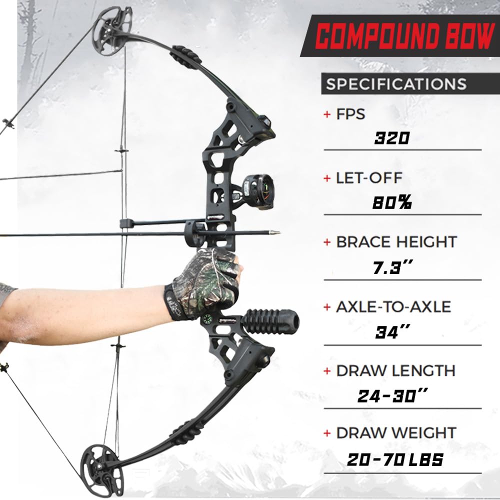 Set Arco Compound 20-70lbs regolabile 320fps Arco da tiro Arco da caccia Arco compound per principianti professionale adulti arco compound Arco da tiro con frecce