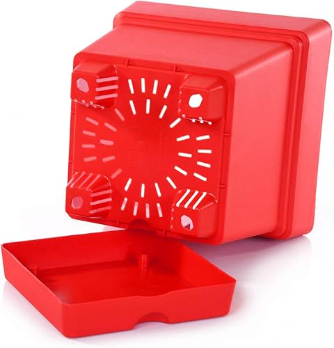 Miniatura 13 de Mintra - Macetas de plástico para plantas, maceta cuadrada para plantas de interior y exterior, macetas de jardín con platillos y agujeros de verde