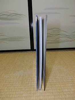 Amazon.co.jp: 写真集帯付き・初版飯島愛写真集「SHAKIN
