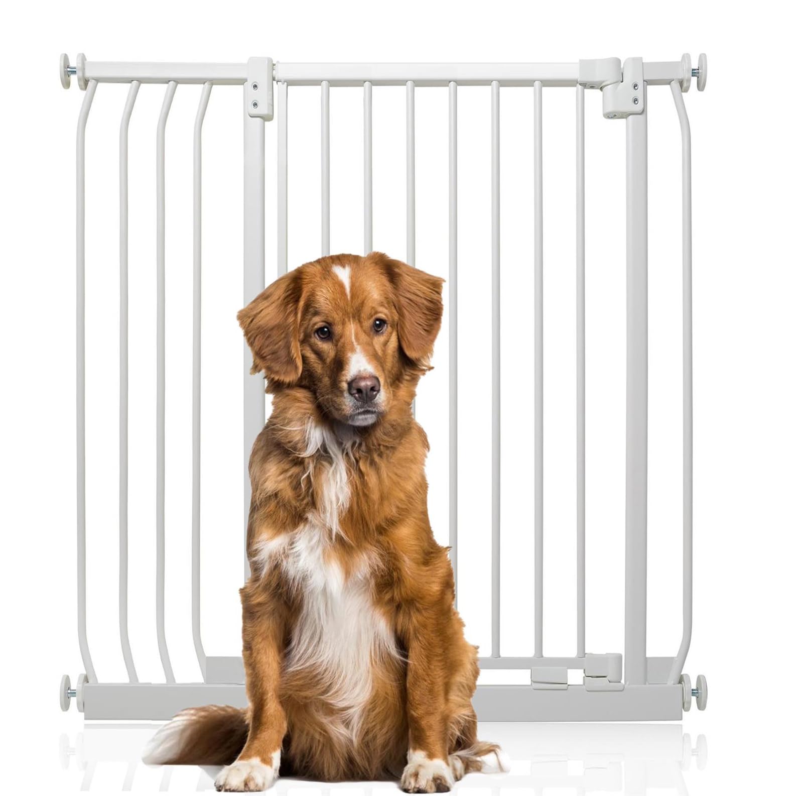 Bettacare Extra Tall Elite Dog Gate, 89cm - 98cm, Matt White, Extra Tall 100cm in Height, Pressure Fit Pet Gate for Dog and Puppy, Pet and Dog Barrier, Easy Installation