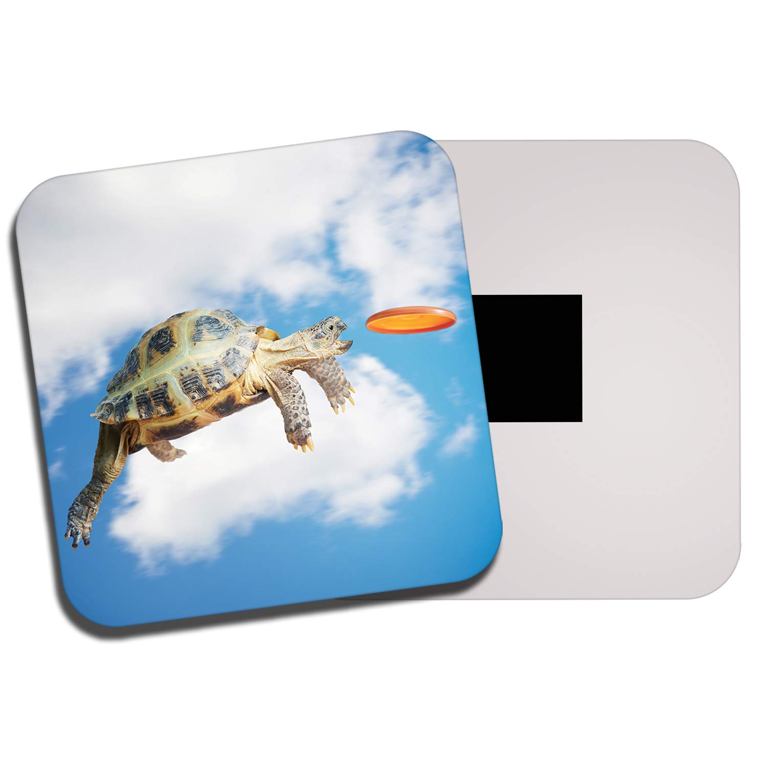 Destinationvinyl Multicolor 1 X Funny Frisbee Tortoise Fridge Magnet - Pet Joke Animal Kids Fun #8315