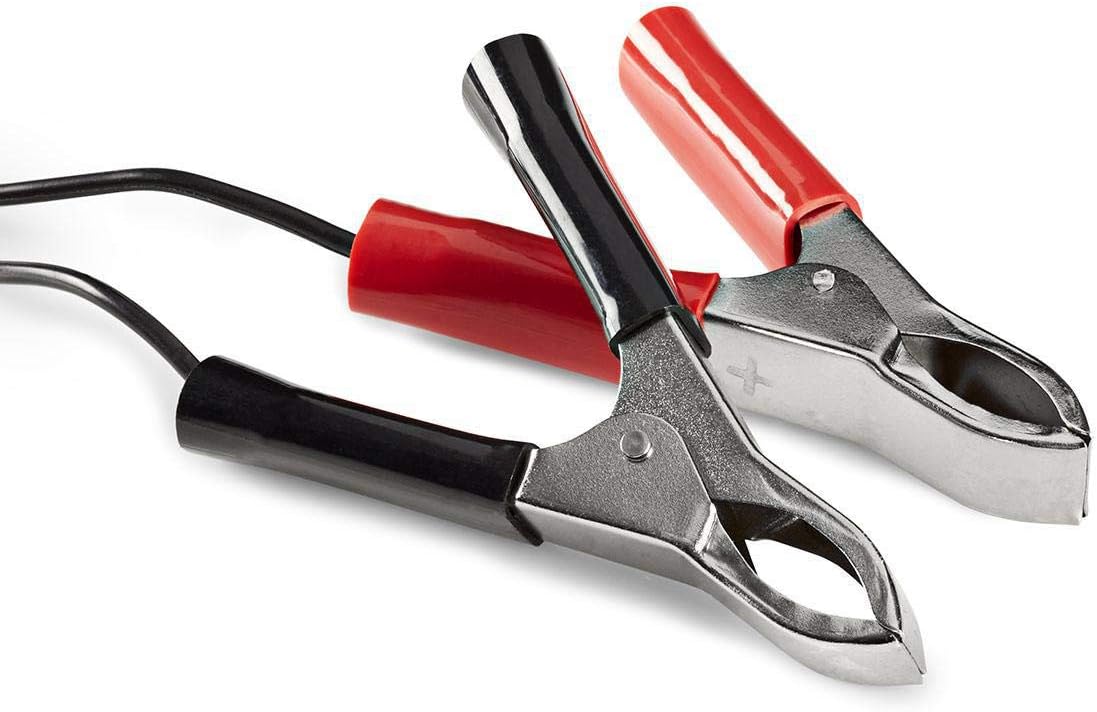 Red positive and black negative battery clamps for the charger.
