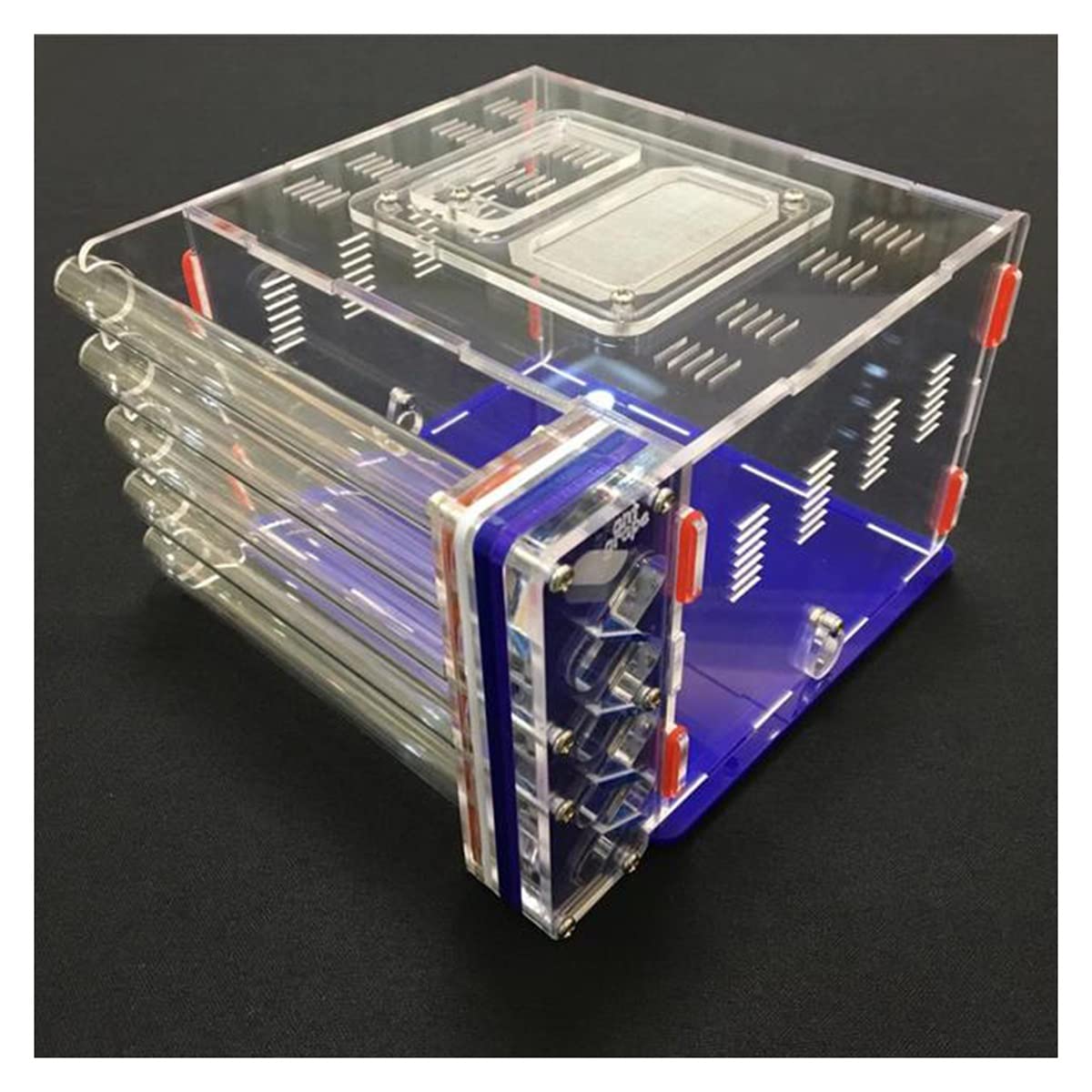 Formicario per formiche, Formica acrilica fai da te. Con 5 provette di alimentazione. Zona multicolore(Dark Blue)