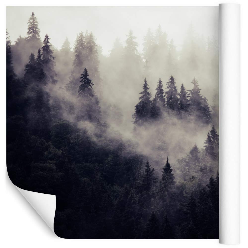 Muralo Samoprzylepna fototapeta z efektem 3D, fototapeta na ścianę, iluzja optyczna, natura, las, salon, sypialnia, nowoczesne obrazy ścienne, dekoracja ścienna XXL, wymiary 400 cm x wysokość 280 cm
