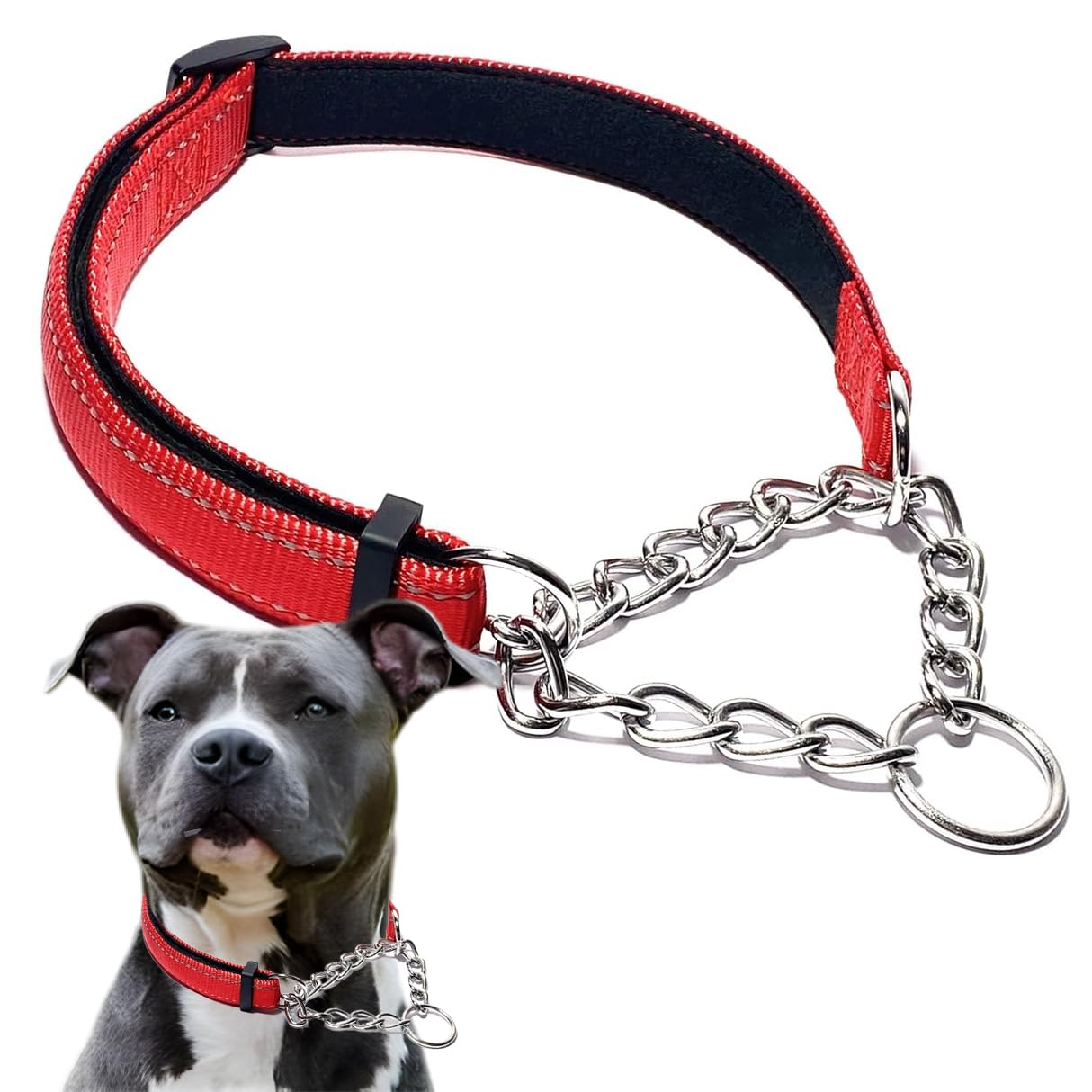 Collier martingale pour chien anti-traction idéal pour les balades nocturnes en ville