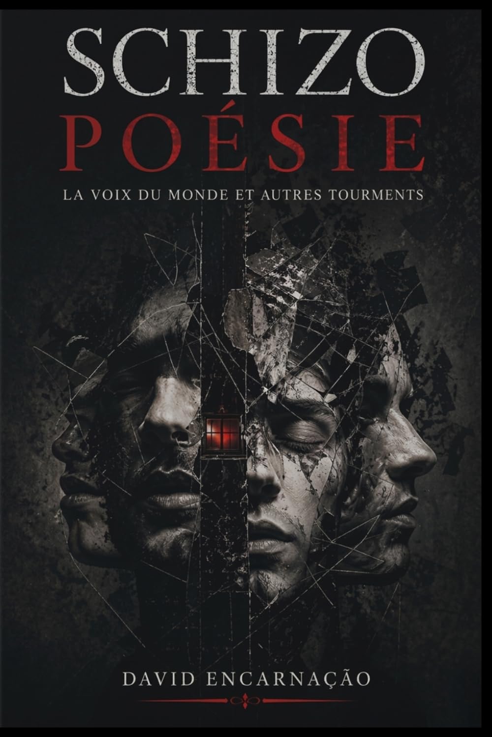 Schizo poésie: La voix du monde et autres tourments