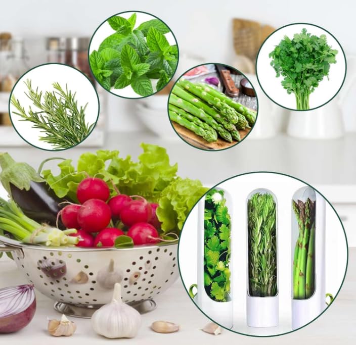 ZPSHYD Herb Keeper, Freshness Storage Container, Preserver Extend Shelf Life for Cilantro Mint, Parsley, Asparagus Maintain Longer - Image 3