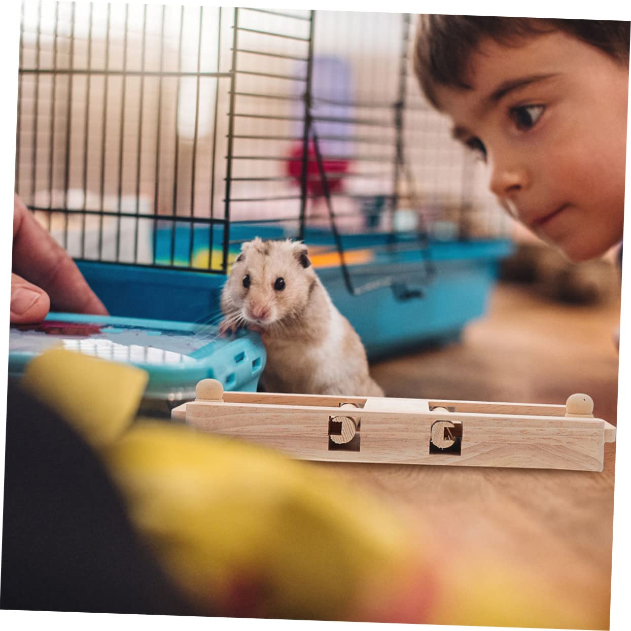 BESPORTBLE Interactive Wooden Foraging for Hamsters Pet Treat Hide for Cage Enrichment Relieves Boredom Supports Healthy Teeth