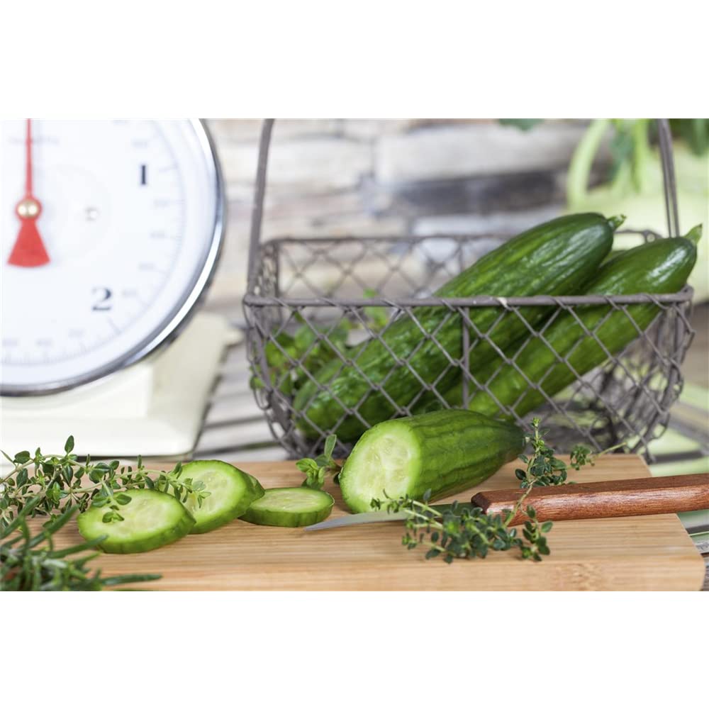 Cetriolo Biologico ""Sonja"" Senza Amarezza 80765 Cetriolo Per 355880225688 - Foto 14