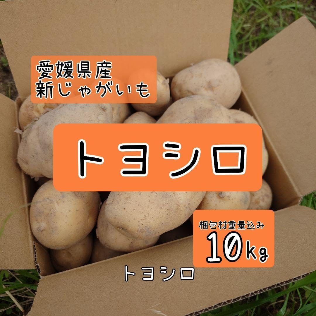 ジャガイモ 10kg箱 種芋 07 ジャガイモ 10kg箱 種芋 07 楽天市場