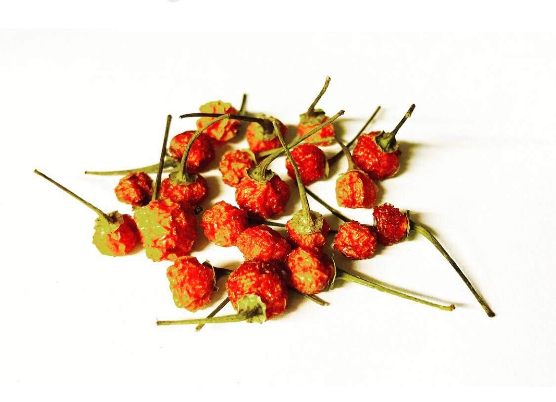 Charapita Chili seco, 10 g – Chili más guerrero del mundo – Delicatesse/comida fina