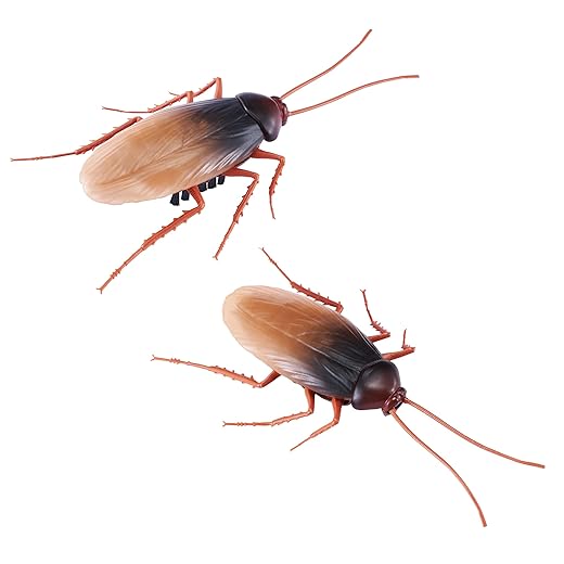 Robo Alive Scuttling Cockroach Battery-Powered Robotic Toy (2 Pack) (Custom Packaging) by ZURU