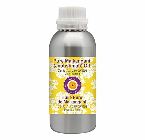 Deve Herbes Jyotishmati Oil (Celastrus paniculatus) | prensado en frío | puro | natural | sin diluir | Para diluir aceites esenciales | Para piel y