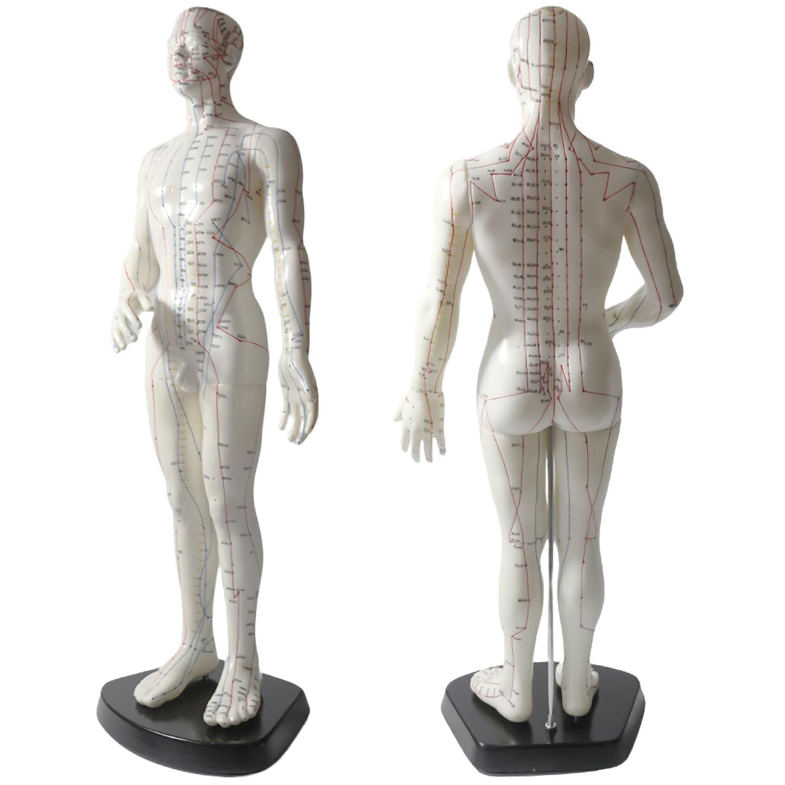 Modèle de point d'acupuncture homme 50 cm avec 360 méridiens et poupée acupuncture souple