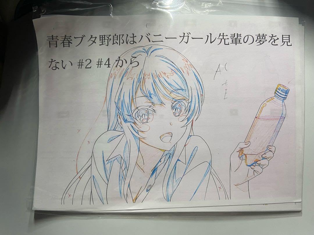 Amazon.co.jp: 中 青春ブタ野郎はバニーガールの先輩の夢を見ない 複製
