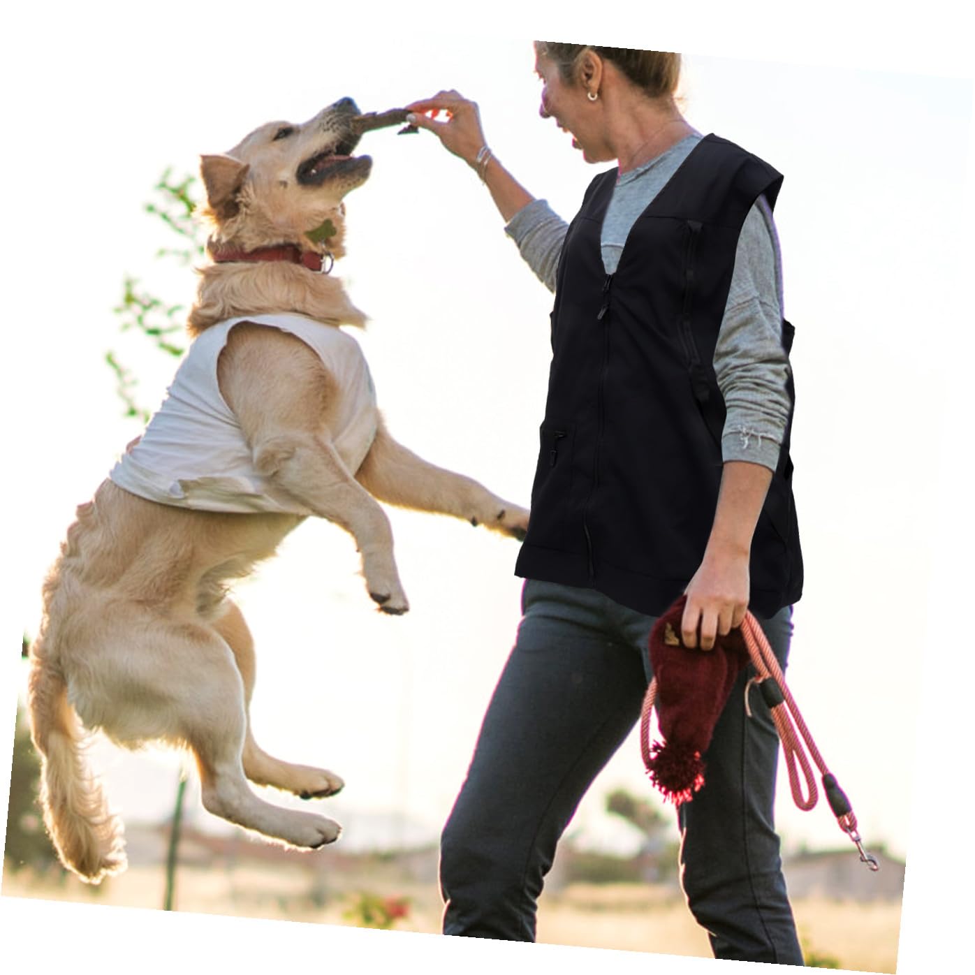 Gilet D'obéissance pour Chien Noir, Léger et Imperméable en Polyester-Mesh
