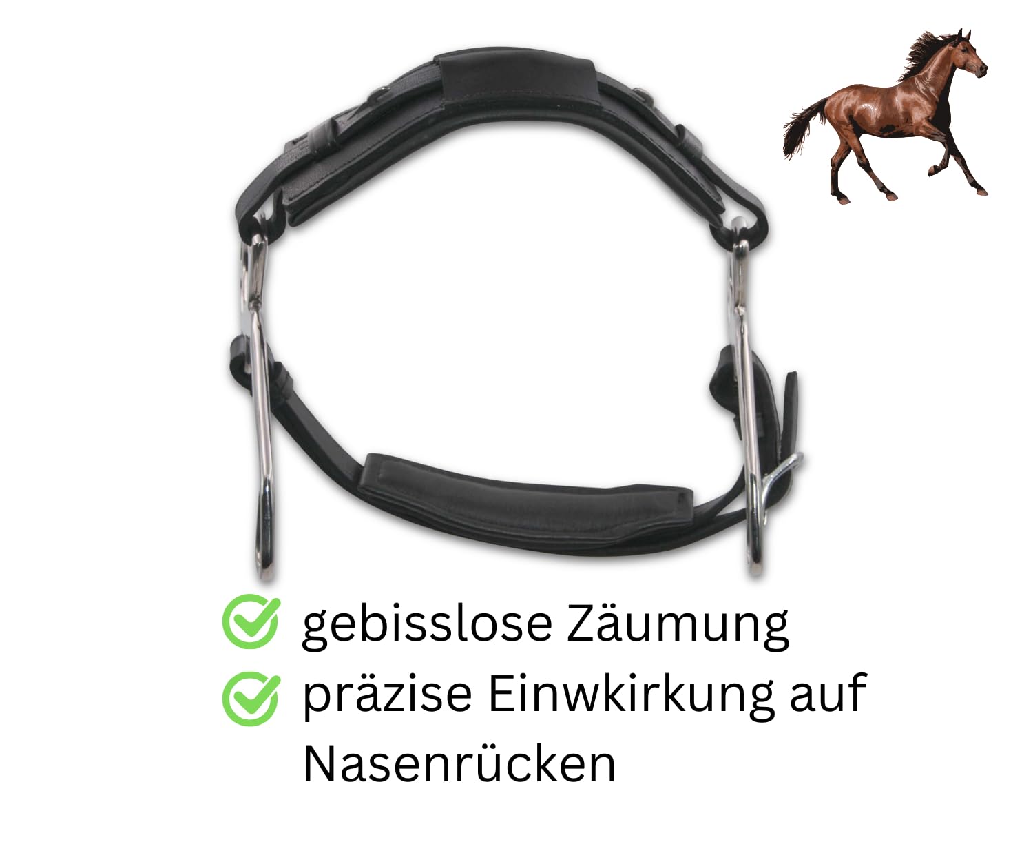 AMKA Hackamore gebisslose Zäumung mit Nasenpolster, schwarz