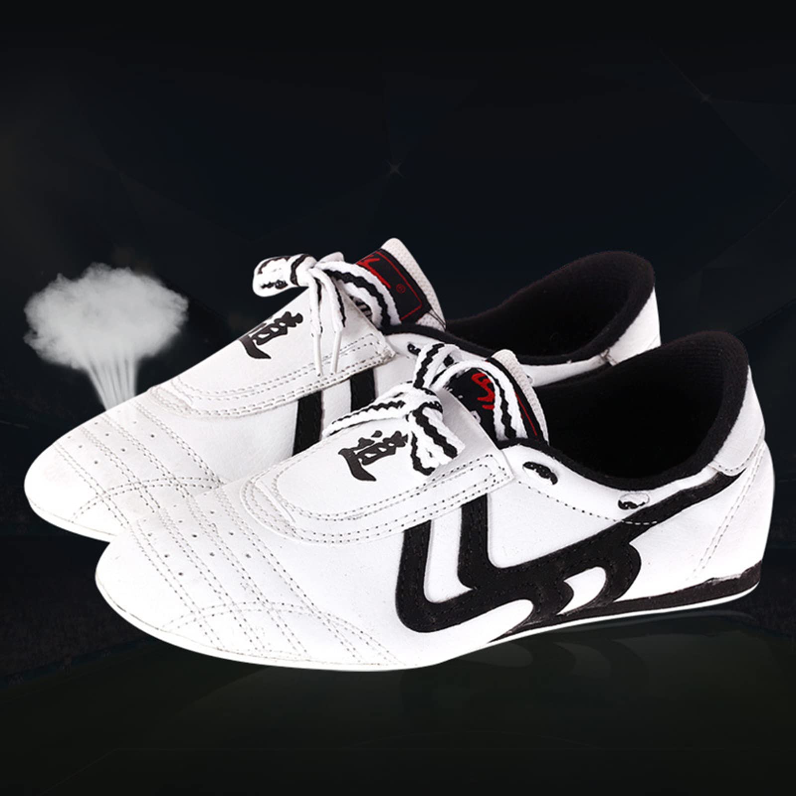 Zapatos de Taekwondo Transpirables Ligeros,Zapatillas de Entrenamiento de Artes Marciales para Hombres Mujeres Niños