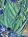 DECORARTS - Irises in the Garden, Vincent Van Gogh Art Reproduction. Giclee Canvas Prints Wall Art for Home Decor 30x24