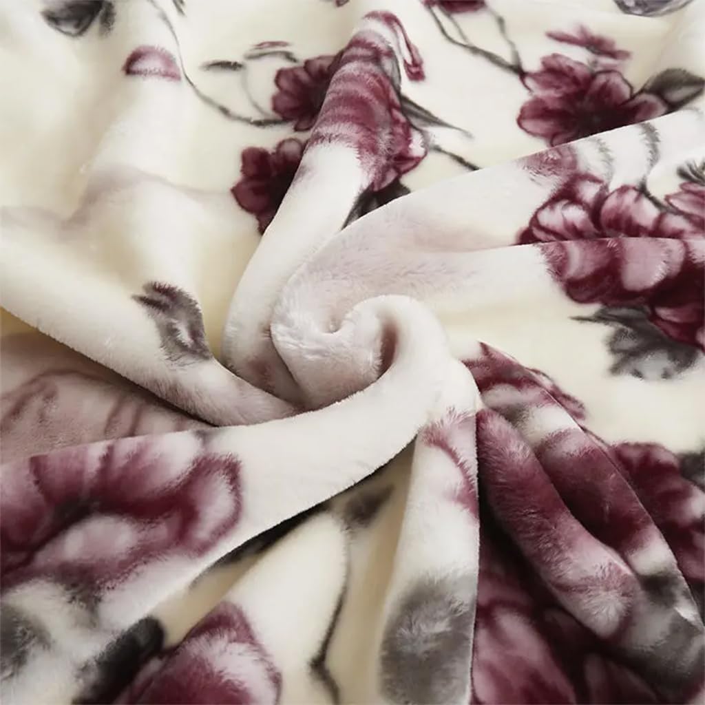 Coperta in Pile Spessa per l'inverno, per Letto King Size,2 Strati, Reversibile, Setosa, Morbida Calda, Coperta in Visone Stampata con Raschel, per Autunno E Inverno