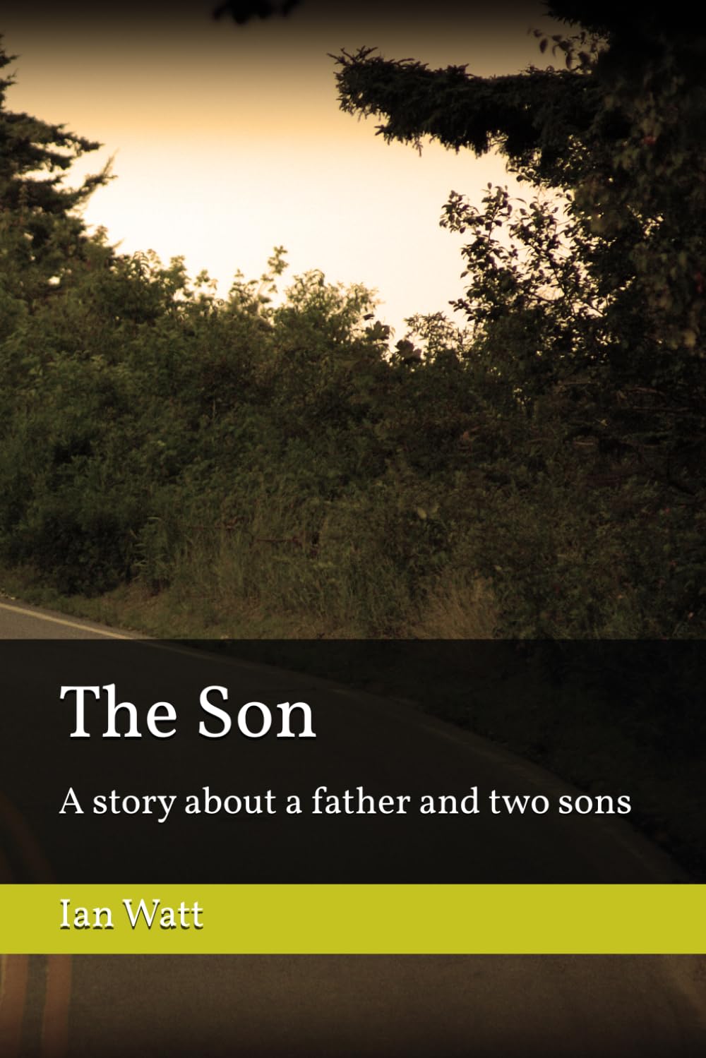 The Son: A story about a father and two sons
