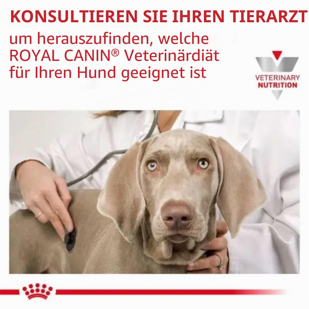 Royal Canin Veterinary Gastrointestinal Low Fat | 6 kg | Diät-Alleinfuttermittel für ausgewachsene Hunde | Trockenfutter zur Unterstützung der Verdauung | Niedriger Fettgehalt