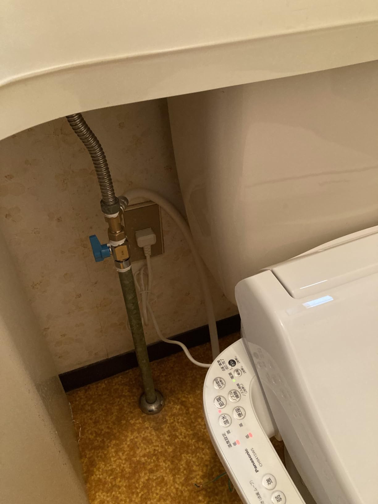 Panasonic CH941SWS Hot Water Wash Toilet Seat, Dominican Republic