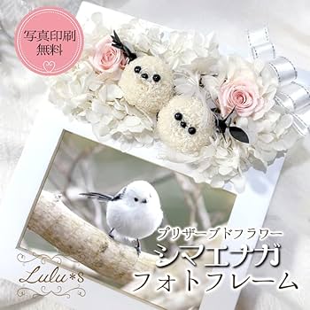 Amazon｜Lulu's ルルズ シマエナガのウッドフレーム ホワイト