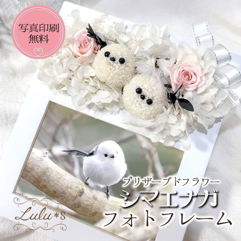 Amazon｜Lulu's ルルズ シマエナガのウッドフレーム ホワイト