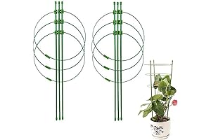 L7HWDP Plant Stake Support Tomato Cages 17.7 Inches Single Stem Plant Support Stakes
