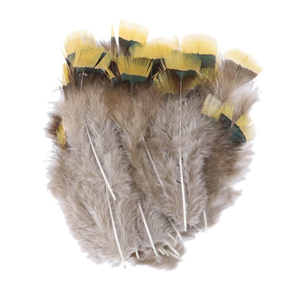 30 stuks fazantveren, natuurlijke veerdecoratie, ideaal voor handwerk en kostuums, hoeden, tassen, decoratie van oorbellen, dromenvangers, doe-het-zelf