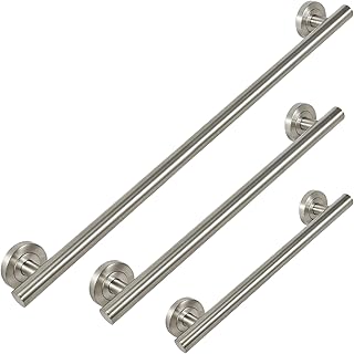 Lava Odoro Shower Grab Bar, Modern Set Stainless Steel Handicap Grab Bar for Bathtubs