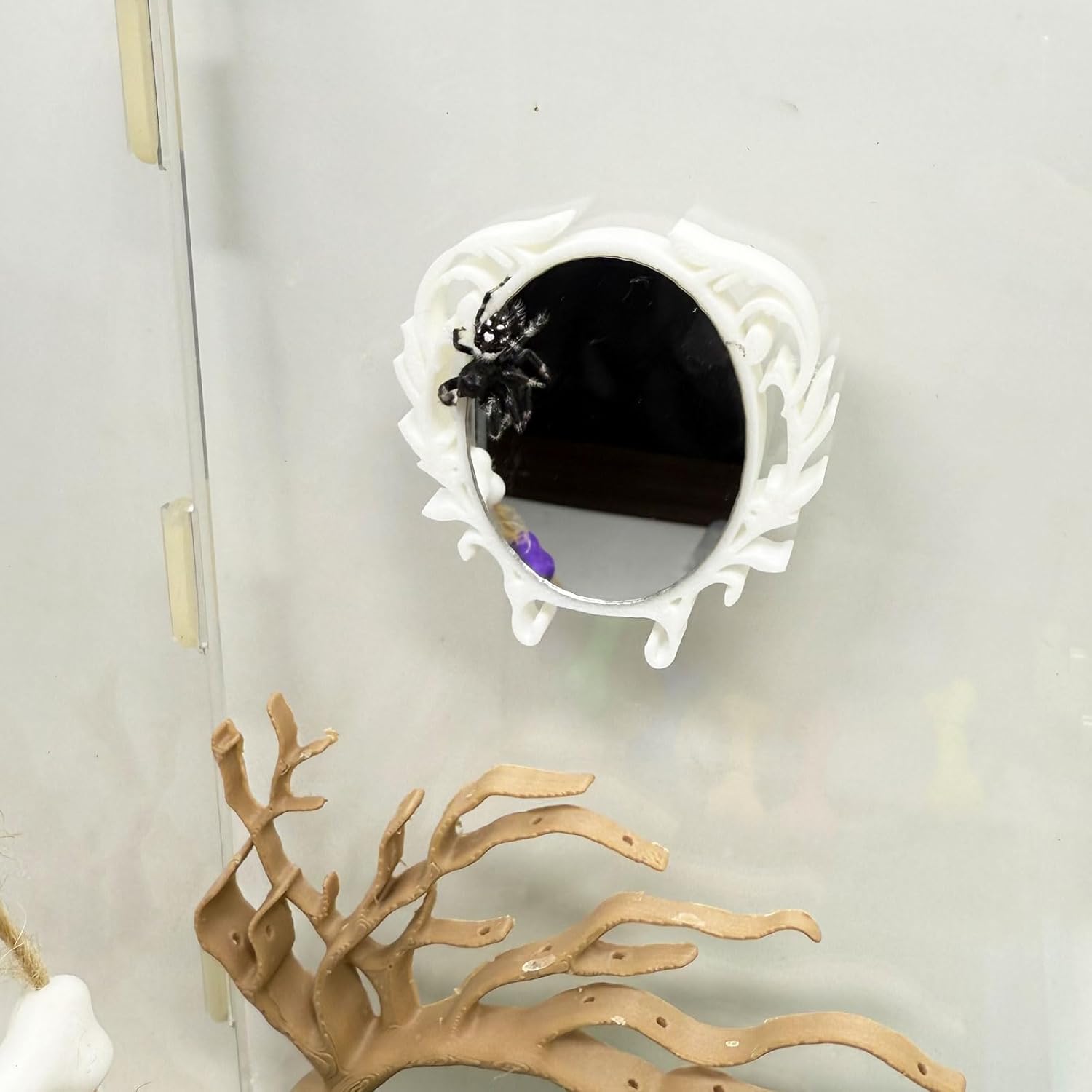 Jumping Spider Mirror, Small Animal Self-Observation Mirror, Jumping Spider Climbing Fence Accessories, Jumping Spider Training Decoration, Small Animal Habitat Decoration (White, Oval)