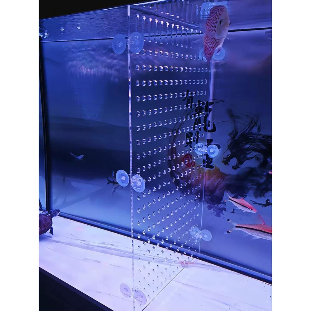 Divisor de Acuario acrílico | Transparente 38-60x60-70cm Aislamiento de alevines y peces luchadores: Divisor acrílico de 5 mm con ventosas(38x65cm)