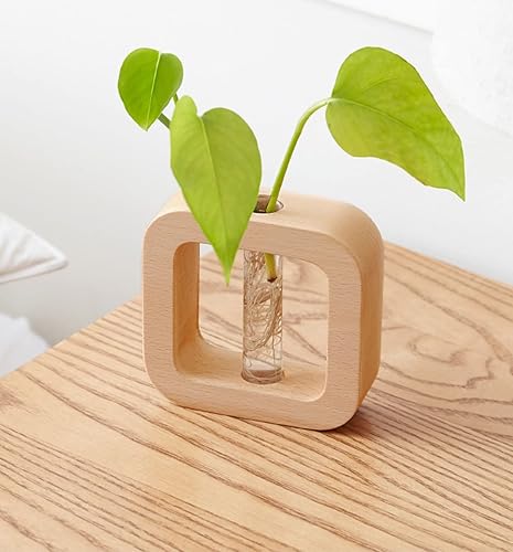 Miniatura 4 de WONQEXZ Jarrón de mesa, macetas de plantas hidropónicas, jarrón de estilo moderno, maceta decorativa, regalo para el hogar, haya amarilla clara, 1.6