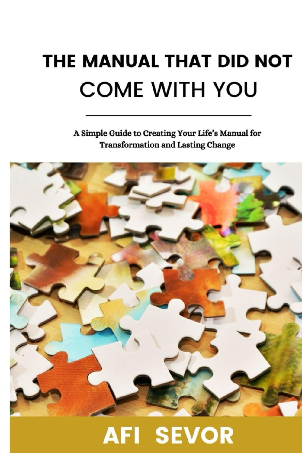 The Manual That Did Not Come With You: A Simple Guide to Creating Your Life’s Manual for Transformation and Lasting Change