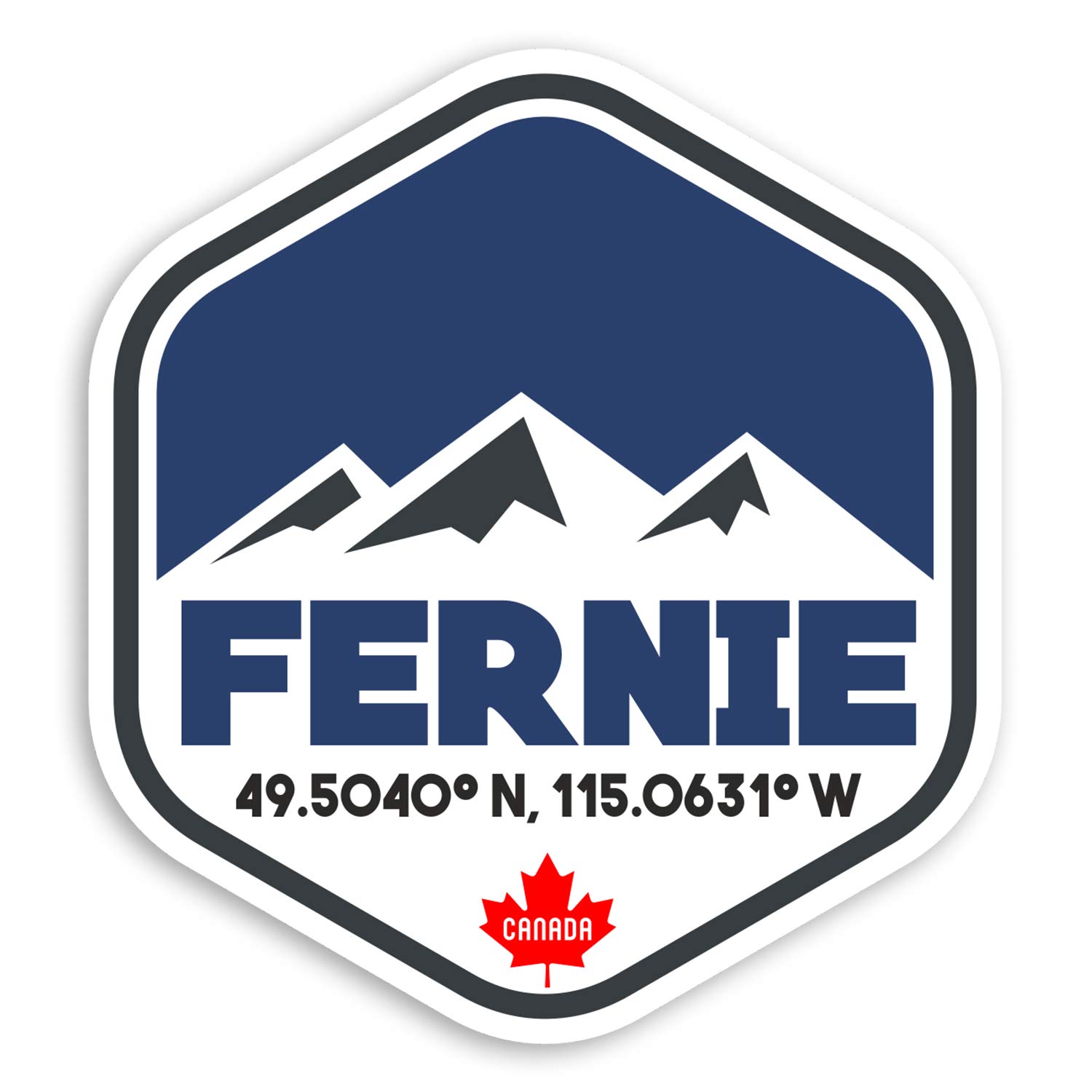 Destination Vinyl Ltd Multi 2 X 10Cm Fernie Canada Vinyl Stickers Ski Snowboard Luggage Sticker #31222 (10Cm Tall)