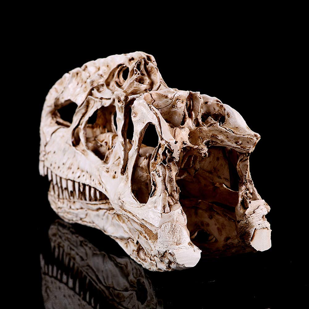 Model statua z żywicy ręcznie robiony dinozaur - edukacyjne zabawki naukowe, badania archeologiczne na zwierzętach, model nauczania anatomia