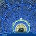 HOME LIGHTING 66ft Christmas Decorative Mini Lights, 200 LED Green Wire Fairy Starry String Lights Plug in, 8 Lighting Modes, for Indoor Outdoor Xmas Tree Wedding Party Decoration (Blue)