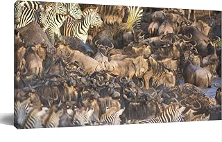 Large Wall Art Decor for Living Room Bedroom Bathroom Canvas Wall Art Framed Wildebeest and zebra river crossing Prints Artwork Painting Pictures Kitchen 24x48