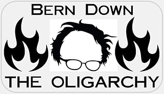 Bern Down The Oligarchy - 25 Stickers Pack 2.25 x 1.25 inches - Bernie Sanders