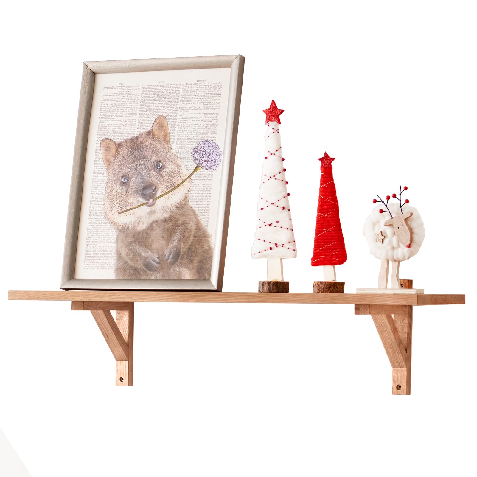 TREOAKWIS Floating Shelf, Wall Shelf, Oak, 60 cm, Floating Shelf, Wooden Decorative Shelf, Wall Shelves, Solid Oak Wall Board, 2 Triangle Brackets for Bedroom, Living Room, Hallway