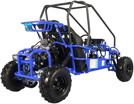 HHH Gokart GK125 is a125CC Fully Automatic Gas 2 Seater Kandi Mini Raptor Gokart with Reverse for Youth (Blue)