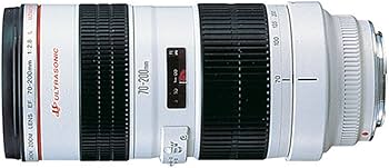 Amazon.com : Canon EF 70-200mm f/2.8L USM Telephoto Zoom Lens for