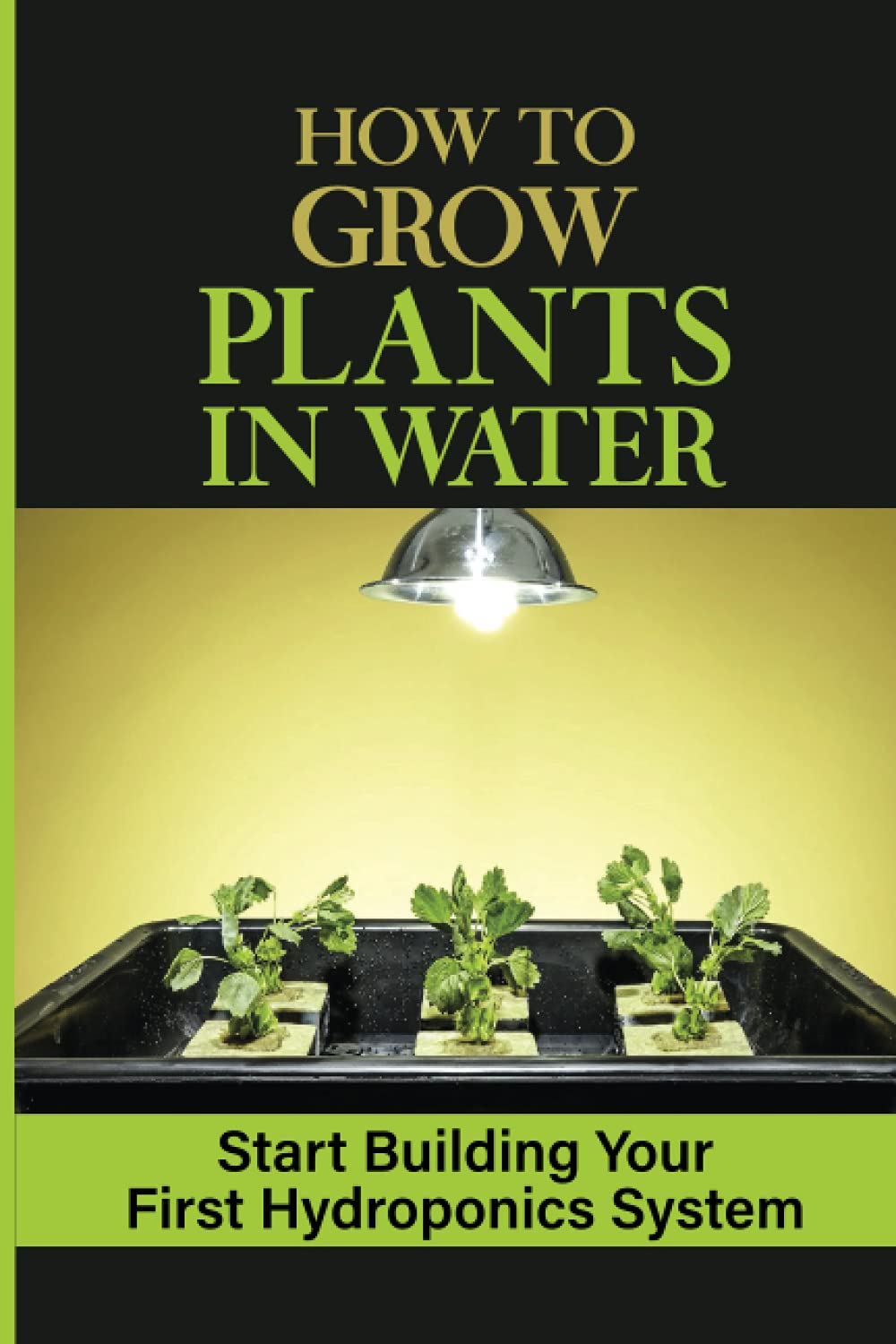 How To Grow Plants In Water: Start Building Your First Hydroponics System: Hydroponic Method