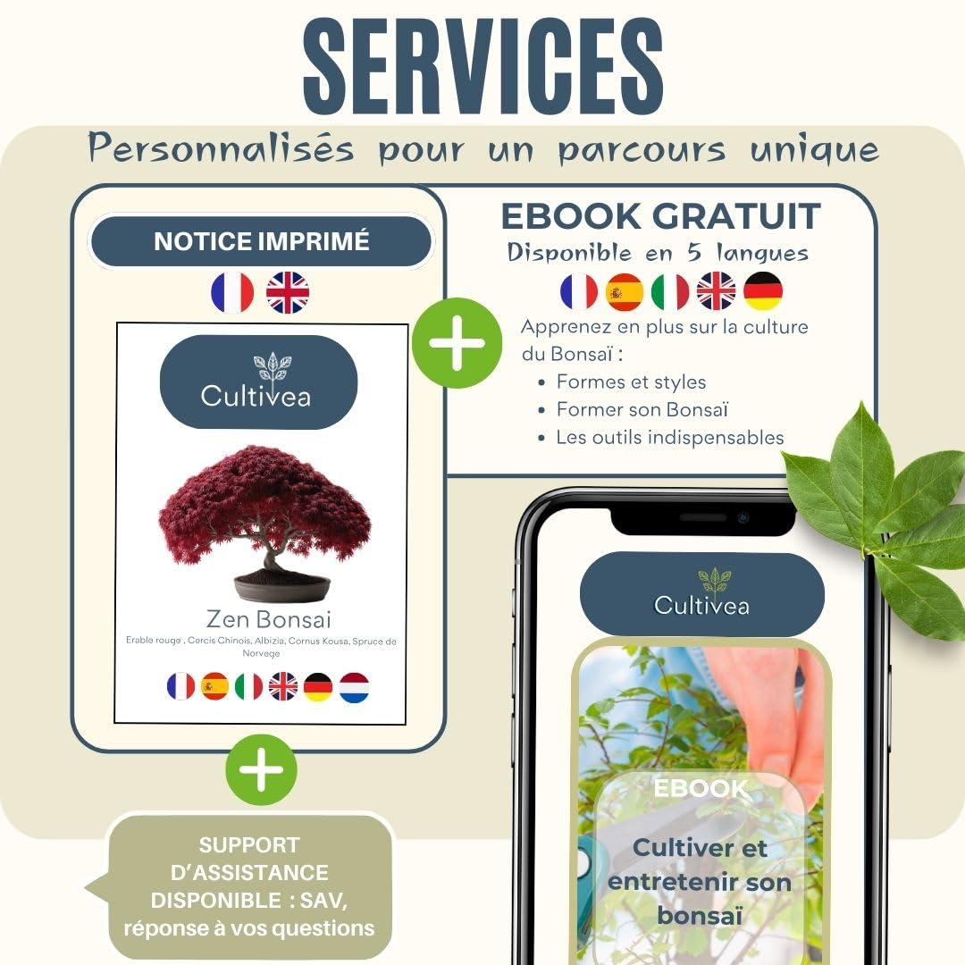 CULTIVEA Set mit 3 Bonsai-Samen – französische Samen, 100% ökologisch – Gärtnern & Dekorieren – Geschenkidee (Red Mapple, Chinesische Cercis, Juniperus, Liquidambar, Norway Spruce) – hergestellt in